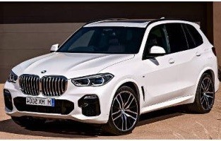 Tapetes BMW X5 G05 (2019-atualidade) bege