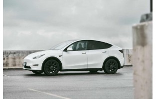 Tapete Tesla Model Y (2020-) econômicas