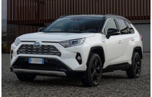 Tapetes de borracha Toyota RAV 4 V (2019-...)