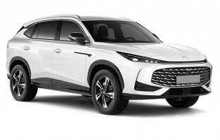 Tapetes cinzentos MG EHS PHEV (2025-)